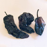Piment Ancho